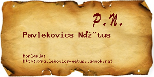 Pavlekovics Nétus névjegykártya